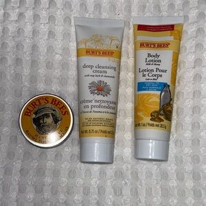 Burt's Bees 3 pc mini set